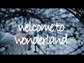 welcome to wonderland - anson seabra // lyric video