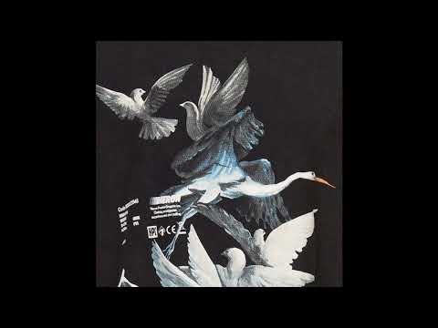 (FREE) Laylow x Josman Type Beat - Heron