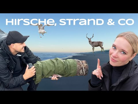 Naturfotografie & spannende Strandfunde an der Nordsee