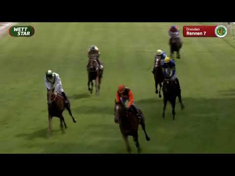 Galopprennbahn Dresden   10 07 2021   7. Rennen