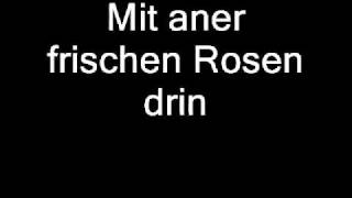 Wolfgang Ambros - Aun so an Plotz (Lyrics)