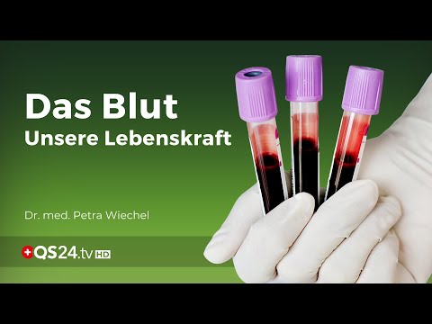 Blood – our life force | Dr. med. Petra Wiechel | NatureMEDICINE | QS24 Health television