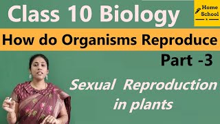 𝐇𝐨𝐰 𝐝𝐨 𝐎𝐫𝐠𝐚𝐧𝐢𝐬𝐦𝐬 𝐫𝐞𝐩𝐫𝐨𝐝𝐮𝐜𝐞 𝐂𝐥𝐚𝐬𝐬 𝟏𝟎 𝐁𝐢𝐨𝐥𝐨𝐠𝐲 Part-3