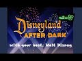 Experience The Wonder Of Disneyland After Dark