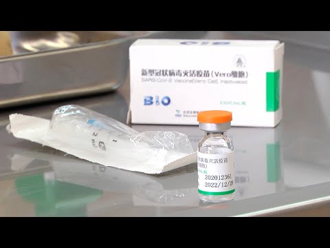 Очередная партия китайской вакцины от COVID-19 скоро поступит в Гомельскую область видео
