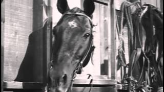 Fury THE 4-H STORY - Peter Graves TV WESTERN