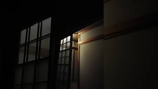 日本保守党の有本香幹事長は美人で何か色っぽい