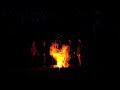 Bishop Allen - The Ancient Common Sense of Things (Official Music Video, not official YT channel)