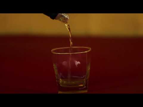 PESSIMISTA VAGABUNDO | QNOIZ (VIZUALIZER) #CERTOPELOSÉCULO