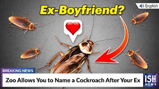 Zoo Allows You to Name a Cockroach After Your Ex
