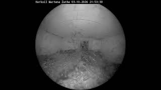 Friesland · Stiens · Uil live stream