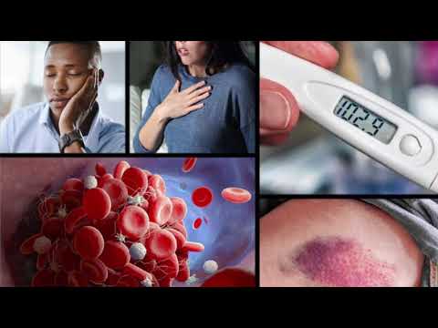 Si të dalloni shenjat paralajmëruese të sëmundjeve të gjakut