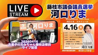 参政党【河口りま】藤枝市議会議員選挙🍊藤枝市議会議員候補　#河口りま#参政党