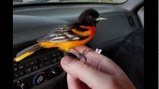 Something amazing just happened... Check this out.