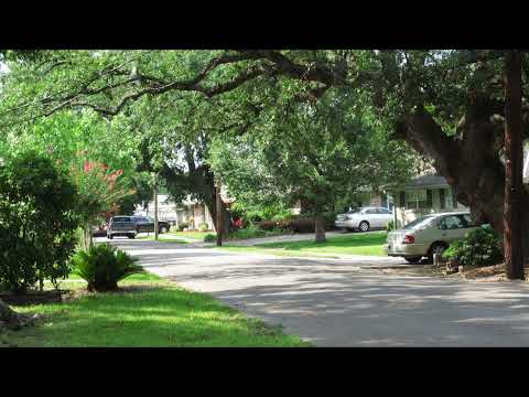 Peaceful Morning Neighborhood Ambience (Lawnmower sounds)