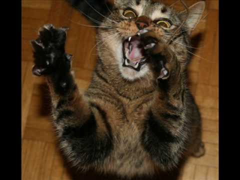 The Syntetic - Człowiek Widmo