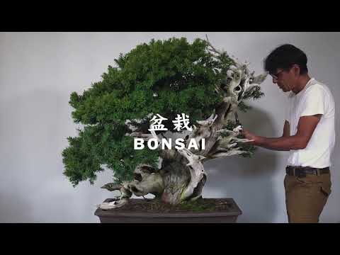 イントロダクション