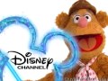 They Re The Muppets And You Re Watching Disney Channel Wmv