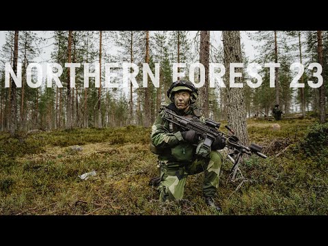Northern Forest 23 - Striderna är igång