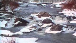 Classic Sesame Street - Spring In The Woods