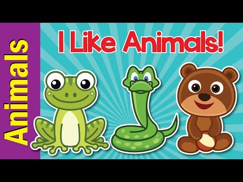 Pet show (Animals)