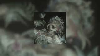 Cover art for A birds last look jersey mix