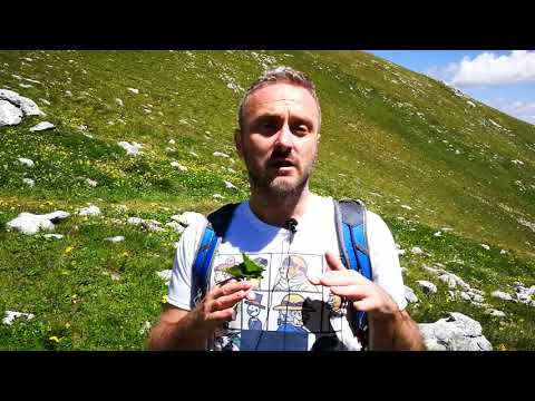 Virak   najbolji prijatelj žena