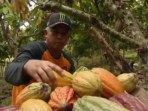 Bahwa perlu minum untuk menurunkan berat badan dalam seminggu Rami cara menurunkan berat badan