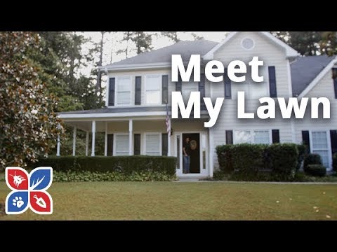  Do My Own Lawn Care - Meet My Lawn Video 