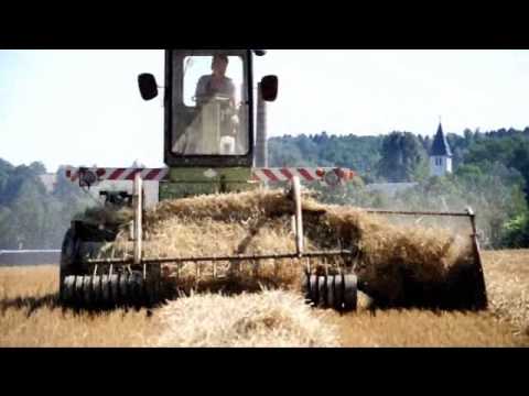 Fortschritt E303 mit Schwadverleger