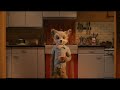 Fantastic Mr Fox Ash Insults Kristofferson S Dad