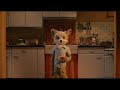 Fantastic Mr. Fox - Ash insults Kristofferson's Dad