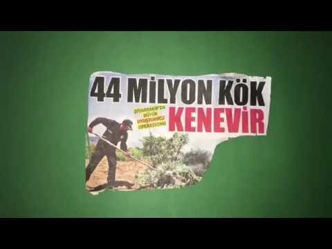 Canavar - Yüzyüzeyken Konuşuruz