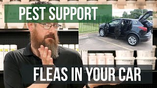 How do I Get Rid of Fleas From My Car? | Pest Support