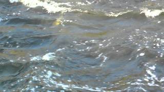 101_0149.MOV