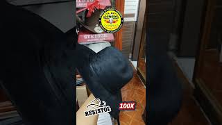 TEXANA RESISTOL 100X🤠🇺🇸