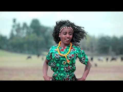 Masfin Gaaddisaa - Sabboontittii walloo - New Ethiopian Oromiffa Music - 2020 best traditional Video