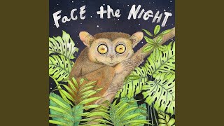 Face the Night