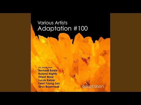 What You Want (Gruv Basement Blue Heat Mix) (feat. Denzie)