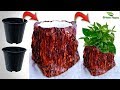 Tree Stump Cement Planter Using Plastic pot | Tree Stump Flower Pot  Making at Home//GREEN PLANTS
