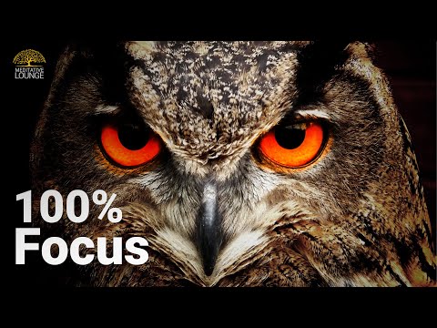 100% FOKUS und KONZENTRATION beim Arbeiten und Lernen ♫ Alpha-Wellen Lernmusik