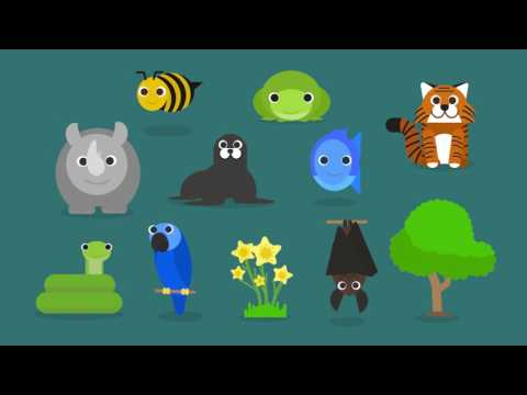 Anthropocene - video 1