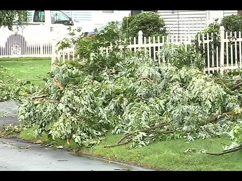 How to stay safe during storm damage cleanup