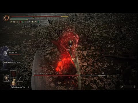 Malenia, Blade of Miquella / Goddess of Rot