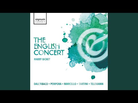 Violin Concerto in B Minor, D. 125: I. Allegro assai