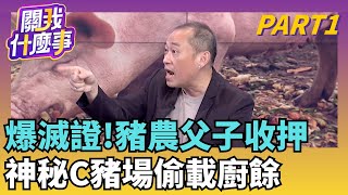 新! 豬農父子收押! 案發後...豬農想”開走運載車”滅證?梧棲清潔隊沒給C豬場廚餘? 應變中心