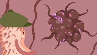 Newswise:Video Embedded researchers-engineer-bacteria-that-can-detect-tumor-dna