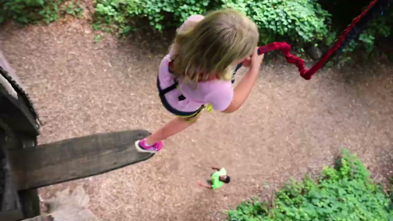 Treehouse World - Social Media Promo