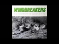 The Windbreakers-Voices in My Head