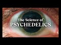 How Psychedelics Work Explained In Under 6 Minutes Matthew Johnson